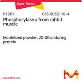Phosphorylase a from rabbit muscle lyophilized powder, 20-30 units/mg protein