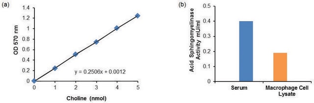 Acid Smase Activity Assay Kit Sufficient for 100 Colorimetric tests