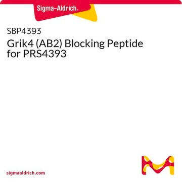 Grik4 (AB2) Blocking Peptide for PRS4393