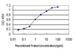 Monoclonal Anti-HPCAL4 antibody produced in mouse clone 2B11, purified immunoglobulin, buffered aqueous solution