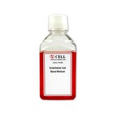 Endothelial Cell Basal Medium (500ml)