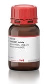 氧化铁(III) nanopowder, &lt;50&#160;nm particle size (BET)
