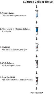 GenElute&#8482; Mammalian Total RNA Miniprep Kit sufficient for 350&#160;purifications