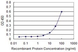 ANTI-FHIT antibody produced in mouse clone 3D3, purified immunoglobulin, buffered aqueous solution