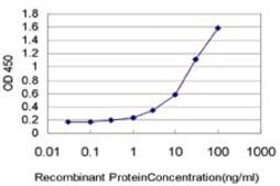 Monoclonal Anti-DICER1 antibody produced in mouse clone 2F12, purified immunoglobulin, buffered aqueous solution