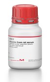 Albumin from rat serum lyophilized powder, essentially globulin free, ≥99% (agarose gel electrophoresis)
