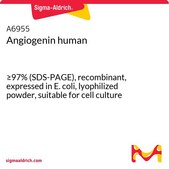 Angiogenin human ≥97% (SDS-PAGE), recombinant, expressed in E. coli, lyophilized powder, suitable for cell culture