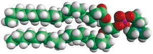 20:0 PC 1,2-diarachidoyl-sn-glycero-3-phosphocholine, powder