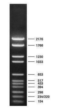 DNA 分子量标记 VI pkg of 50&#160;&#956;g (in 200 &#956;l), solution