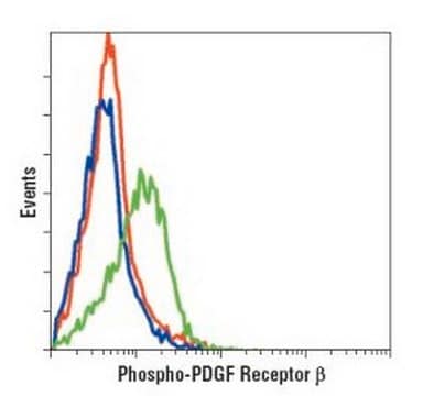 PhosphoDetect Anti-PDGFR&#946;(pTyr&#8311;&#8309;&#185;) Rabbit pAb liquid, Calbiochem&#174;