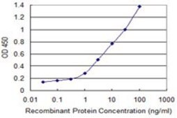 Monoclonal Anti-DHDH, (C-terminal) antibody produced in mouse clone 3A11, purified immunoglobulin, buffered aqueous solution