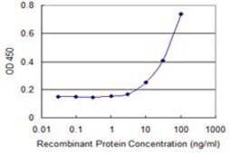 Monoclonal Anti-FBXW12 antibody produced in mouse clone 1A9, purified immunoglobulin, buffered aqueous solution