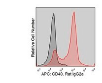 Anti-Mouse CD40 (FGK45) ColorWheel® Dye-Ready mAb