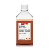 Horse Serum USA origin, Donor herd, suitable for cell culture, suitable for hybridoma