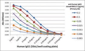 Anti-Human IgG1 antibody, Rabbit monoclonal recombinant, expressed in HEK 293 cells, clone RM117, purified immunoglobulin