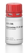 Adenosine 2′,5′-diphosphate–Agarose lyophilized powder