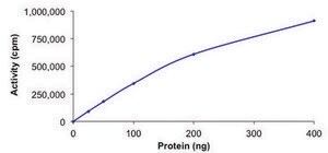CHK1, active, His tagged human PRECISIO&#174;, recombinant, expressed in baculovirus infected Sf9 cells, &#8805;70% (SDS-PAGE), buffered aqueous glycerol solution
