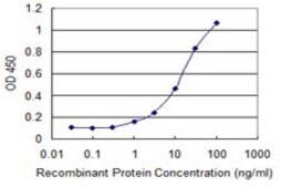 Monoclonal Anti-SLC7A8, (C-terminal) antibody produced in mouse clone 3F10, purified immunoglobulin, buffered aqueous solution