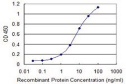 Monoclonal Anti-EREG antibody produced in mouse clone 1E6, purified immunoglobulin, buffered aqueous solution