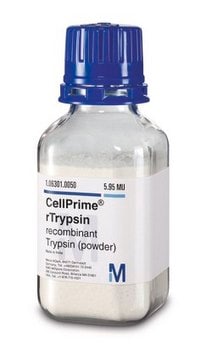 CellPrime&#174; rTrypsin recombinant Trypsin (powder)