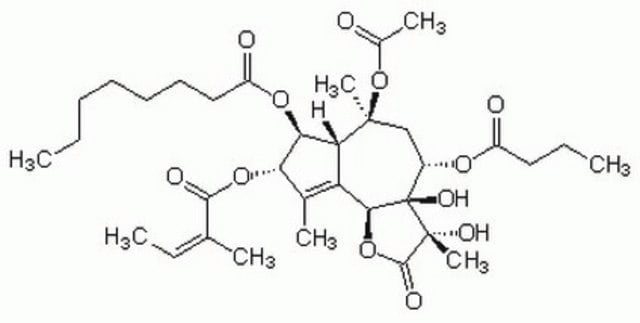 Thapsigargin - CAS 67526-95-8 - Calbiochem Thapsigargin, CAS 67526-95-8, is a cell-permeable, tumor-promoting sesquiterpene lactone that releases calcium by non-competitvley inhibiting endoplasmic reticular Ca2+-ATPase (IC&#8325;&#8320; = 4-13 nM).