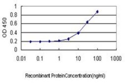 Monoclonal Anti-STAU1 antibody produced in mouse clone 3D8, purified immunoglobulin, buffered aqueous solution