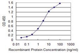 Monoclonal Anti-ARMET antibody produced in mouse clone 1D10, purified immunoglobulin, buffered aqueous solution