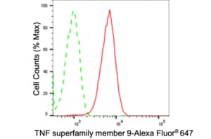 Anti TNF Superfamily Member 9 Antibody, clone 24GB2375, Rabbit Monoclonal clone 24GB2375, recombinant rabbit monoclonal, expressed in HEK293 cells