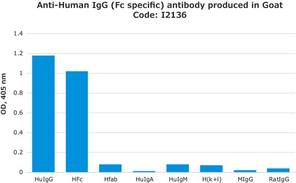 Anti-Human IgG (Fc specific) antibody produced in goat affinity isolated antibody, buffered aqueous solution