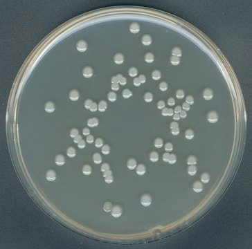 GranuCult&#174; 平板计数琼脂 ISO 4833, ISO 17410, FDA (BAM), for aerobic bacteria