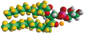 14:0 PG-d54 Avanti Research&#8482; - A Croda Brand 860381P, powder