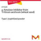 α-Amylase Inhibitor from Triticum aestivum (wheat seed) Type I, lyophilized powder