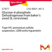 葡萄糖-6-磷酸脱氢酶 来源于面包酵母（酿酒酵母） Type VII, ammonium sulfate suspension, ≥200 units/mg protein