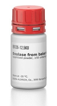 Enolase from baker's yeast (S.&#160;cerevisiae) lyophilized powder, &#8805;50&#160;units/mg protein