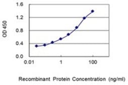 Monoclonal Anti-RAB15 antibody produced in mouse clone 1G12, purified immunoglobulin, buffered aqueous solution