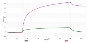 Anti-IRF7 Antibody, clone 3B22 ZooMAb® Rabbit Monoclonal recombinant, expressed in HEK 293 cells