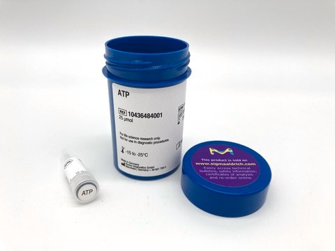 ATP vial of 25 μmol