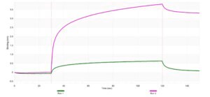 Anti-&#946;2-Microglobulin Antibody, clone 1E4 ZooMAb&#174; Rabbit Monoclonal recombinant, expressed in HEK 293 cells