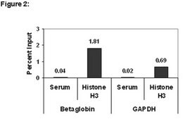 ChIPAb+ Histone H3 (CT) - ChIP Validated Antibody and Primer Set serum, from rabbit