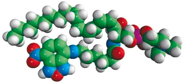 C6-NBD Sphingomyelin Avanti Polar Lipids 810218P, powder