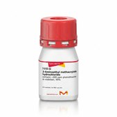 2-氨基乙基甲基丙烯酸酯 盐酸盐 contains ~500 ppm phenothiazine as stabilizer, 90%