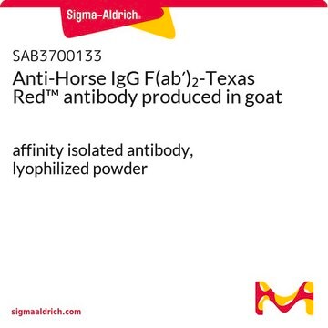 Anti-Horse IgG F(ab&#8242;)2-Texas Red&#8482; antibody produced in goat affinity isolated antibody, lyophilized powder