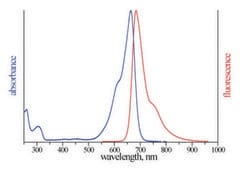 Monoclonal Anti-Synaptotagmin-6 - Atto 655 antibody produced in mouse clone S270-47, purified immunoglobulin