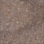 Anti-SPHK1 antibody produced in rabbit Prestige Antibodies® Powered by Atlas Antibodies, affinity isolated antibody, buffered aqueous glycerol solution