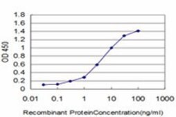 ANTI-KIAA2002 antibody produced in mouse clone 3G6, purified immunoglobulin, buffered aqueous solution