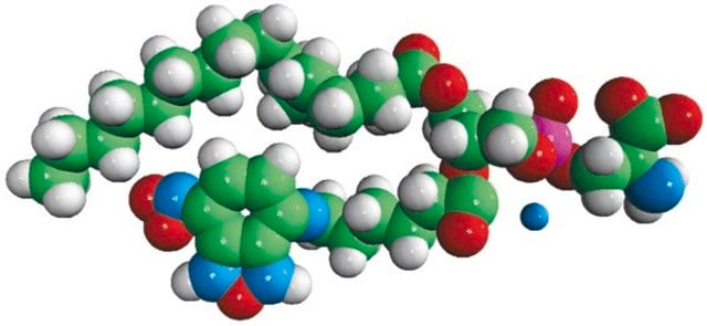 16:0-06:0 NBD PS Avanti Polar Lipids 810192P, powder