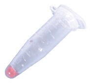 EZ-Grind&#8482; 20 Pestle &amp; 20 Tubes with Resin