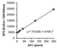颗粒酶活性检测试剂盒 Sufficient for 100 Fluorometric tests