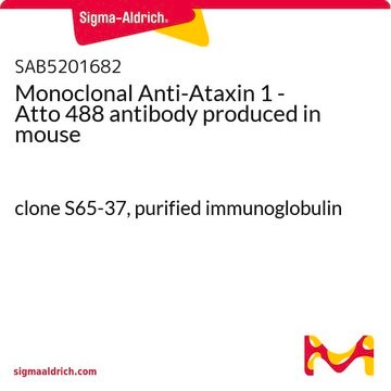 Monoclonal Anti-Ataxin 1 - Atto 488 antibody produced in mouse clone S65-37, purified immunoglobulin