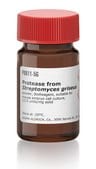 蛋白酶 来源于灰色链霉菌 powder, BioReagent, suitable for mouse embryo cell culture, &#8805;3.5&#160;units/mg solid